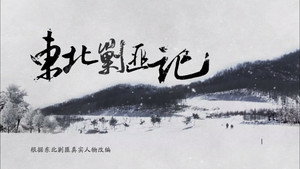 东北剿匪记 kép
