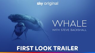 Whale with Steve Backshall előzetes