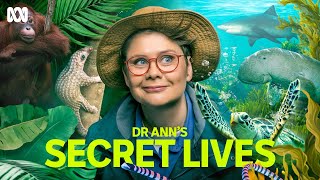 Dr Ann's Secret Lives előzetes