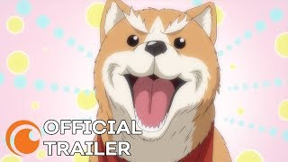織田シナモン信長 előzetes