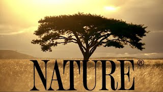 Nature előzetes