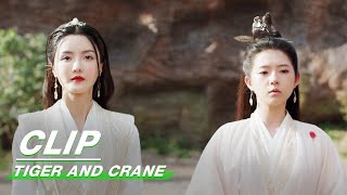 虎鹤妖师录 előzetes