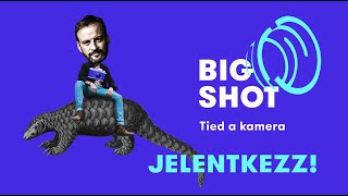 Big Shot előzetes