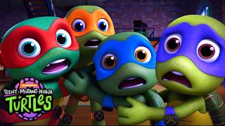 Teeny Mutant Ninja Turtles előzetes