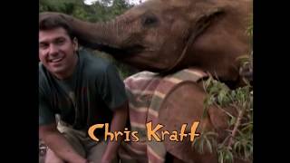 Kratts' Creatures előzetes
