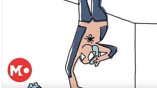 Baman Piderman előzetes