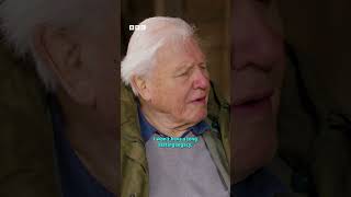 Vad szigetvilág előzetes