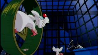 Pinky and the Brain előzetes