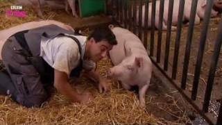 My Life as an Animal előzetes