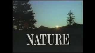 Nature előzetes