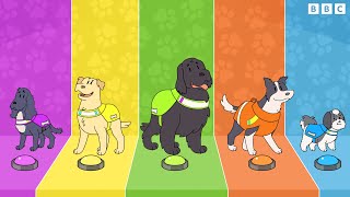 Dog Squad előzetes