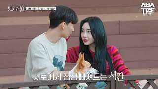 펫미픽미 előzetes