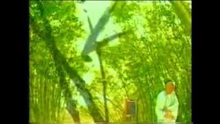 鄭板橋 előzetes