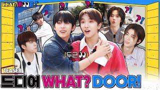 WHAT? DOOR! előzetes
