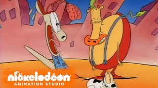 Rocko előzetes