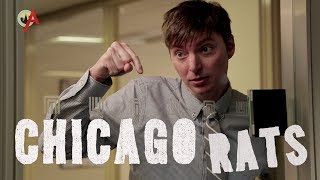 Chicago Rats előzetes