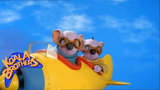 The Koala Brothers előzetes