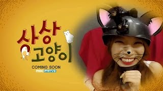상상고양이 előzetes
