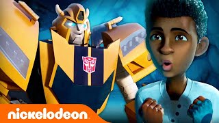 Transformers: FöldSzikra előzetes