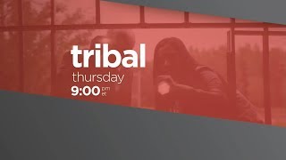 Tribal előzetes