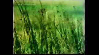 How Green Was My Valley előzetes