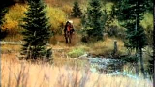 Grizzly Adams előzetes