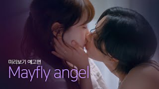 메이플라이엔젤 előzetes
