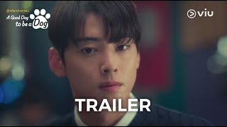 오늘도 사랑스럽개 előzetes
