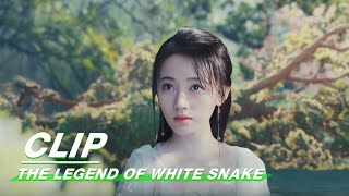 The Legend of White Snake előzetes