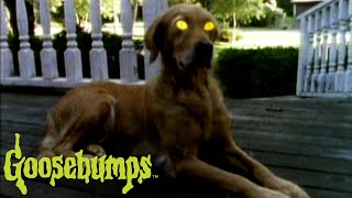 Goosebumps előzetes