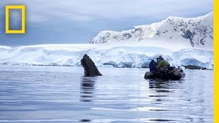 Continent 7: Antarctica előzetes