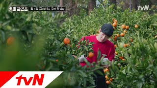 커피 프렌즈 előzetes