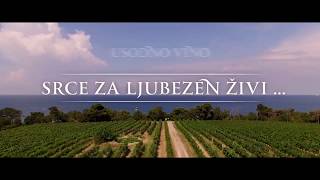 Usodno vino előzetes