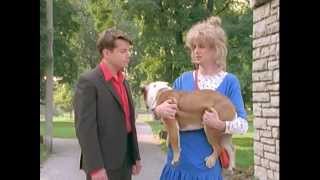 The Kids in the Hall előzetes