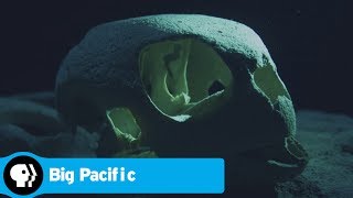 Big Pacific előzetes