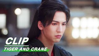 虎鹤妖师录 előzetes