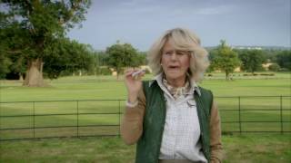 Tracey Ullman's Show előzetes