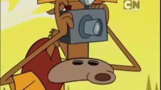 Camp Lazlo: Shorts előzetes