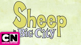 Sheep in the Big City előzetes