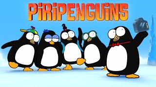Piripenguins előzetes