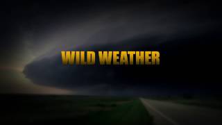 Wild Weather with Richard Hammond előzetes