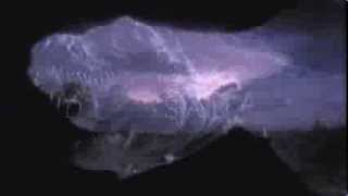 Dinoszauruszok - A Föld urai előzetes