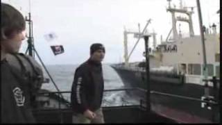 Whale Wars előzetes