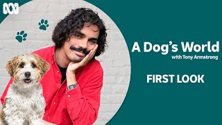 A Dog's World with Tony Armstrong előzetes