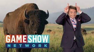 America Says előzetes