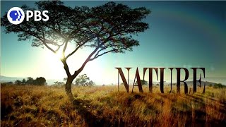 Nature előzetes