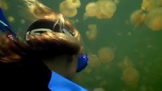 Pacific Abyss előzetes