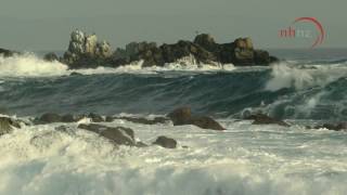 Big Pacific előzetes