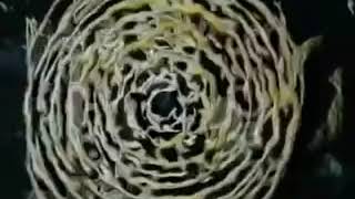 Into the Labyrinth előzetes